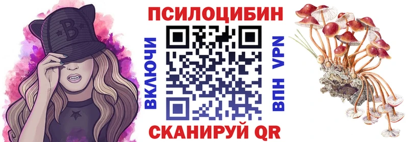 Галлюциногенные грибы GOLDEN TEACHER  ОМГ ОМГ   нарко площадка какой сайт  наркошоп  Красавино 